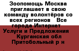 Зоопомощь.Москва приглашает в свою команду волонтёров со всех регионов - Все города Интернет » Услуги и Предложения   . Курганская обл.,Притобольный р-н